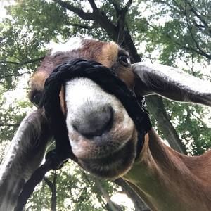 Meet your Posher, Brooke